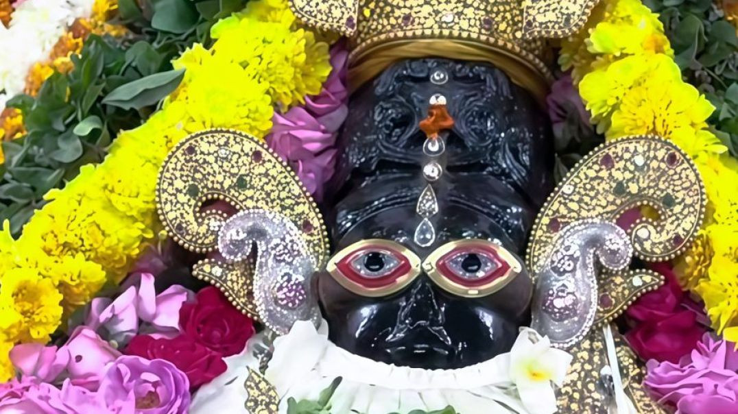 मेरी खुशियों में रंग भर दिया #shyam #shortsfeed#shyambaba