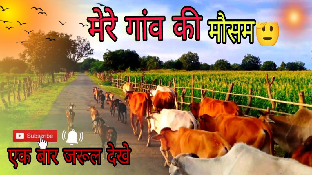 ⁣“मेरे गांव का खूबसूरत मौसम 🌿 | Nature Vlog | Village Life in India”😘 santosh vlogger santosh vlog