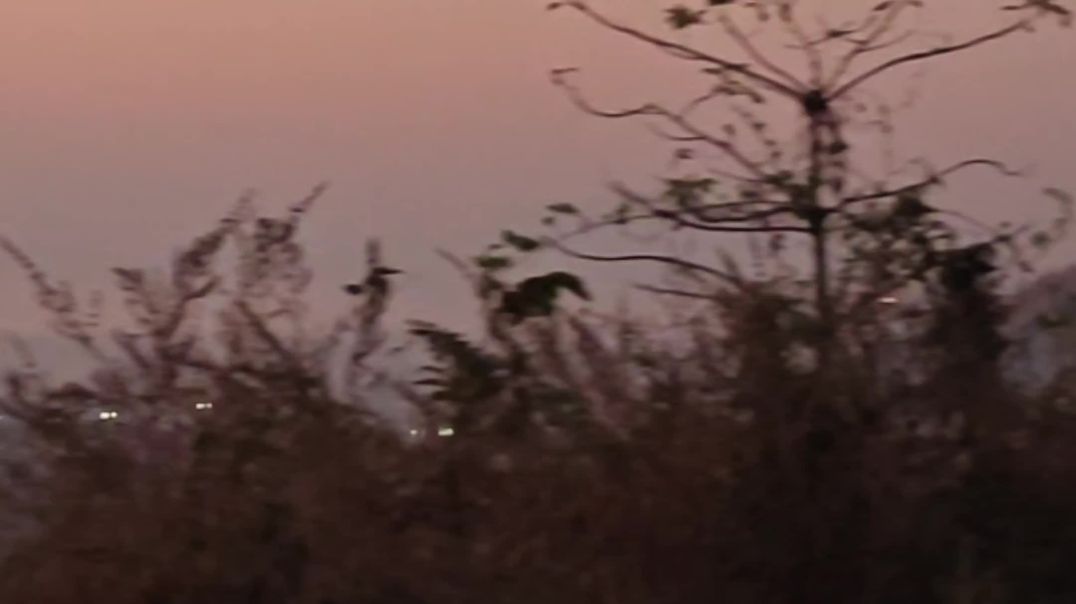⁣Morning View at Pali-Bhutivali Dam / Dhom (Diksal) Dam / Bhivapuri Dam | Nature Near Mumbai