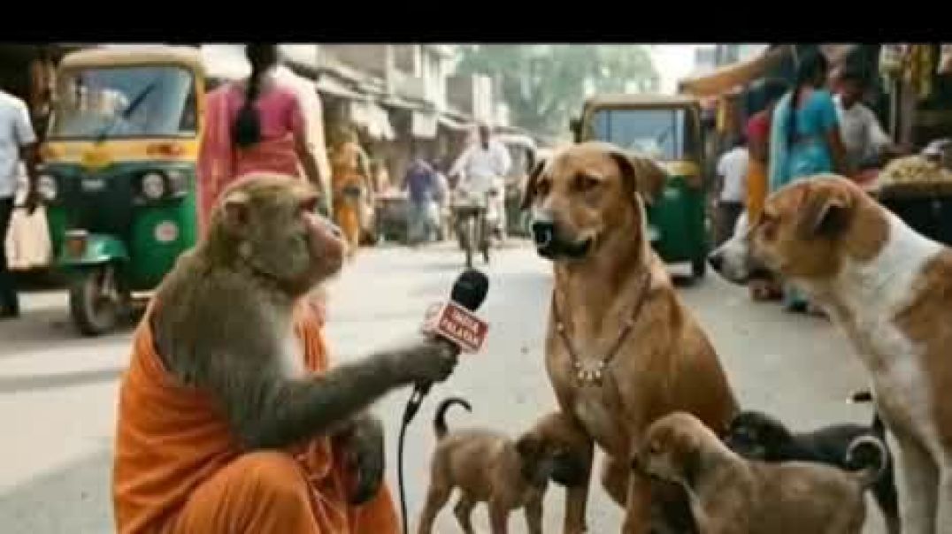 मियां जानू