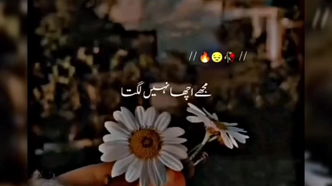 ⁣Status music 🎶🎶