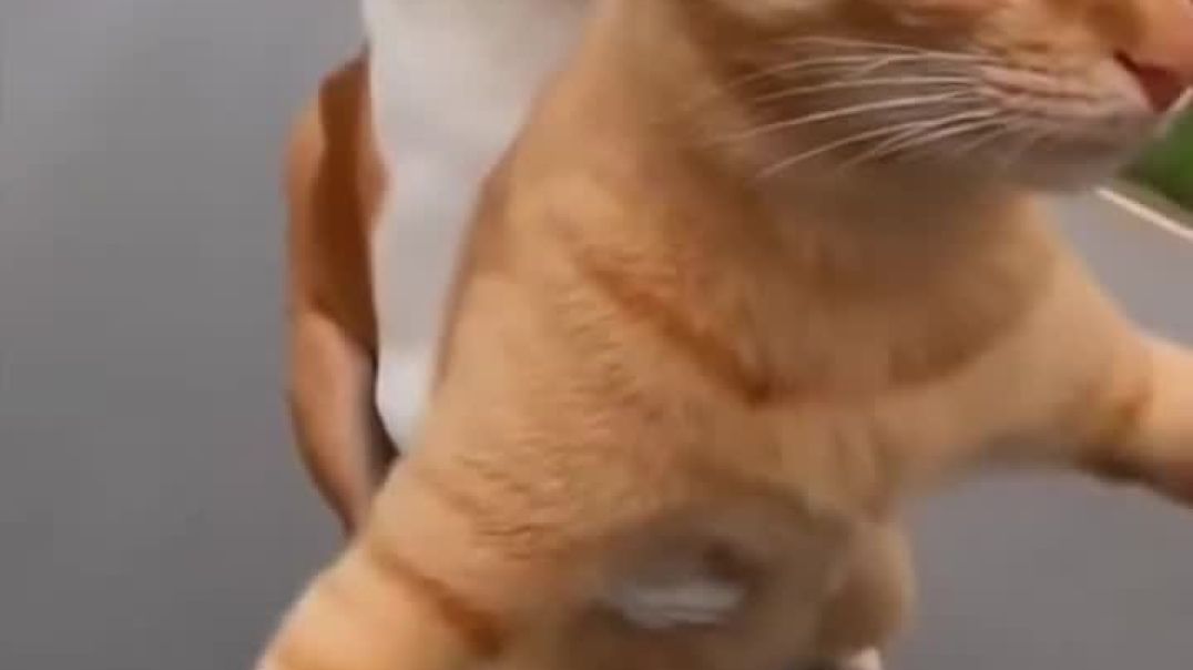 ⁣Funny dog reaction 🤣😂