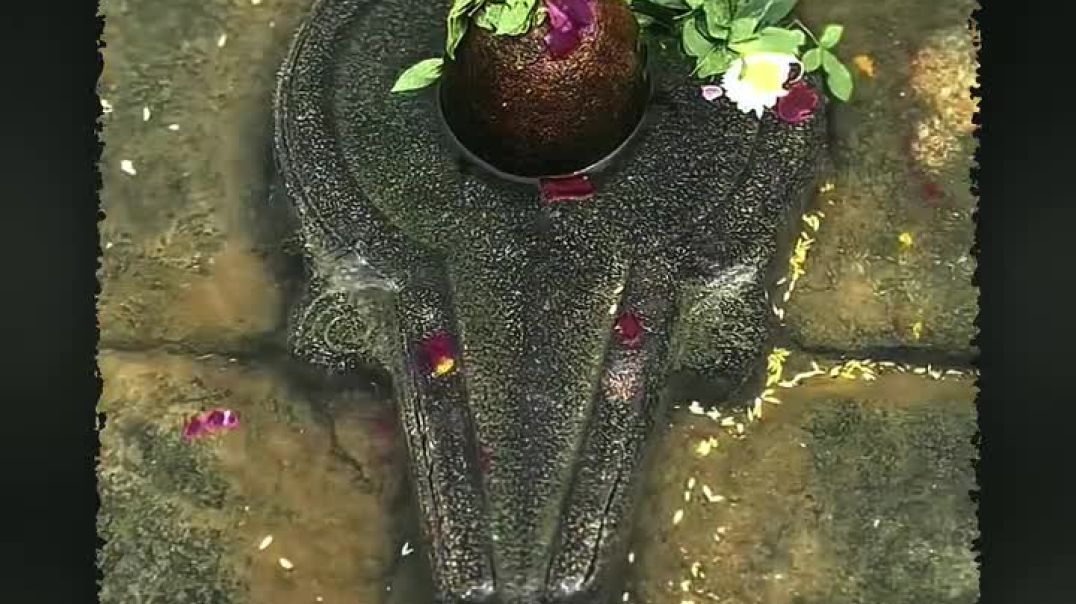 𝐓𝐚𝐠 𝐮𝐫 🌎