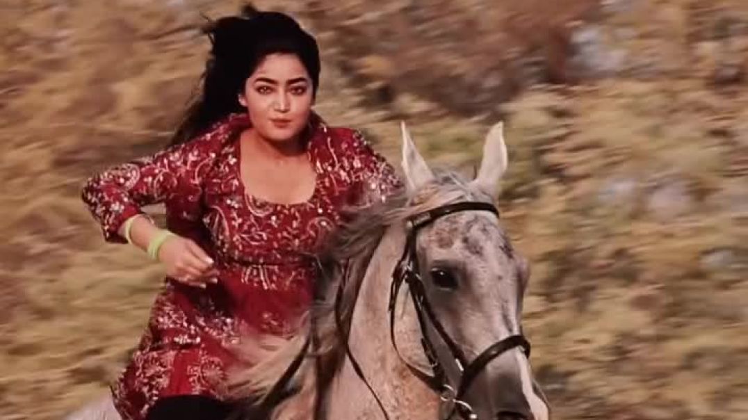 dubai_desert_horse_ride ❤️