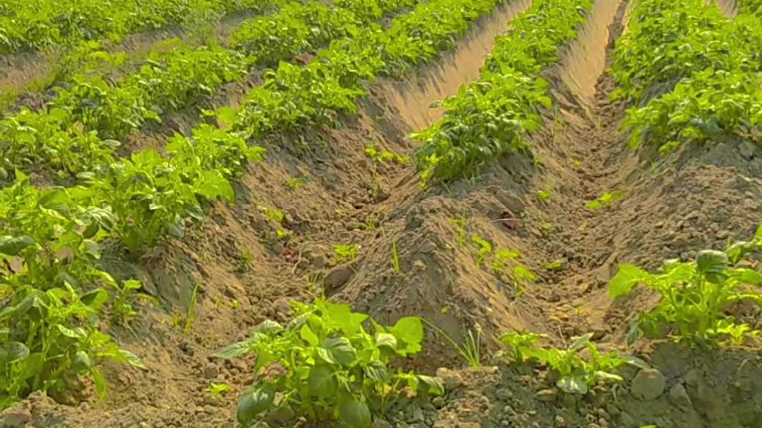 VID_20251128_211731_868