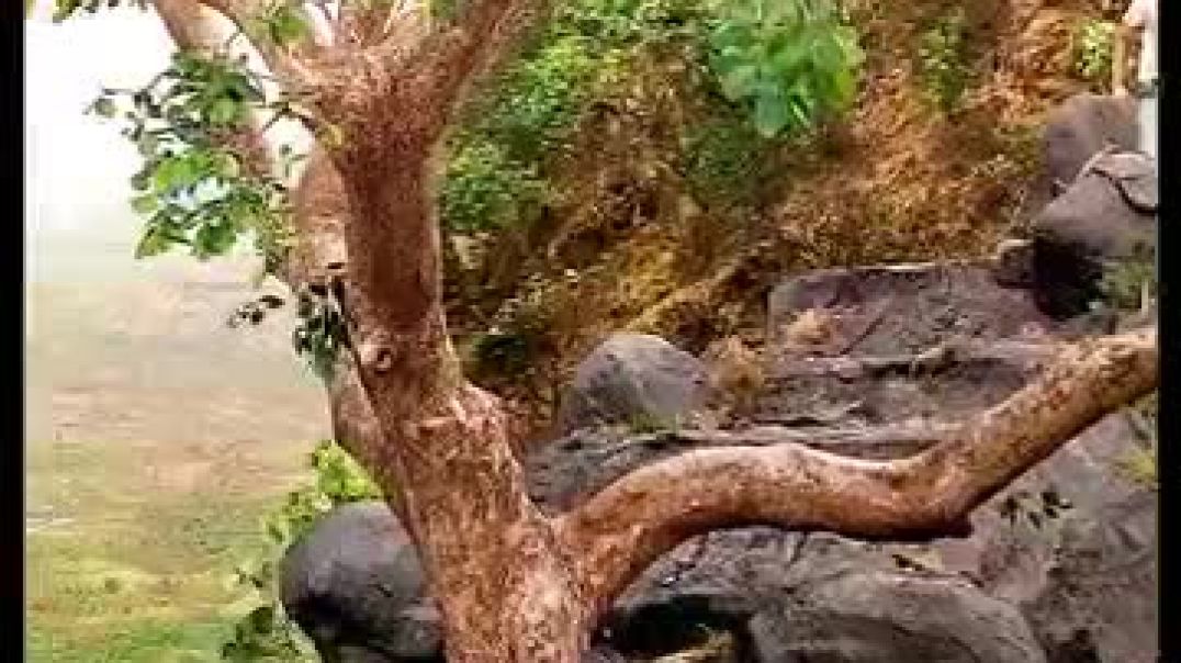 ⁣prem_bachaoo,(360p)