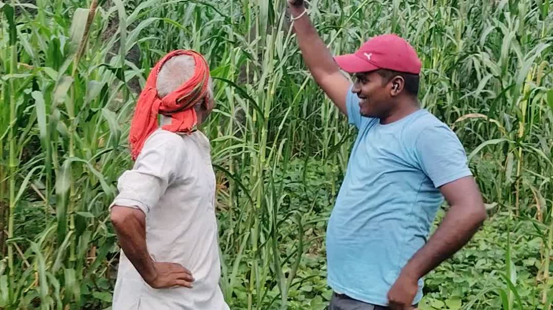 ⁣Party me dance #short #reel