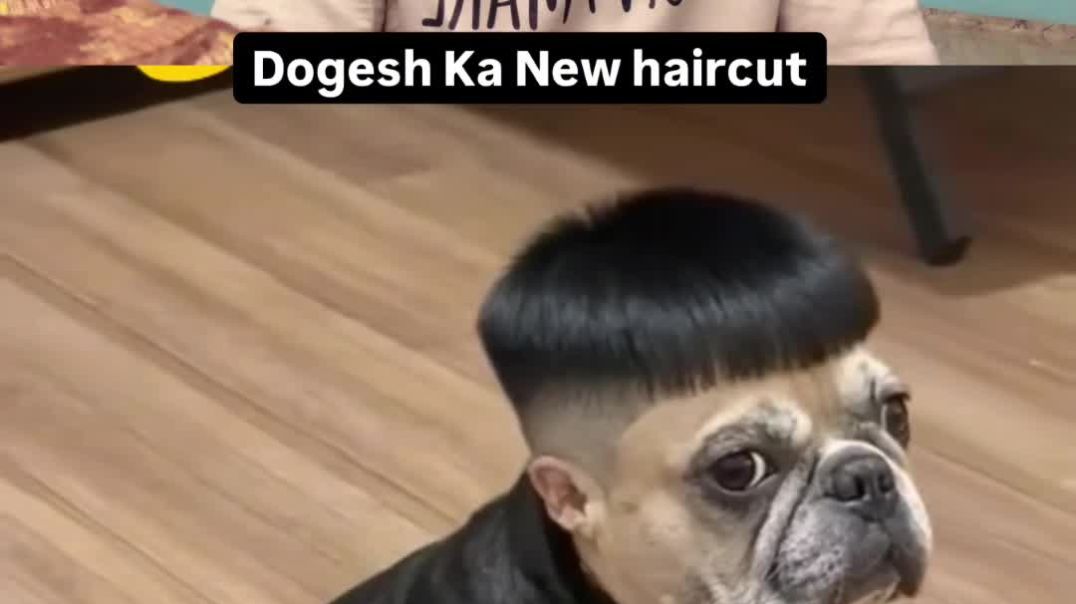 VID_20251211_044538_560