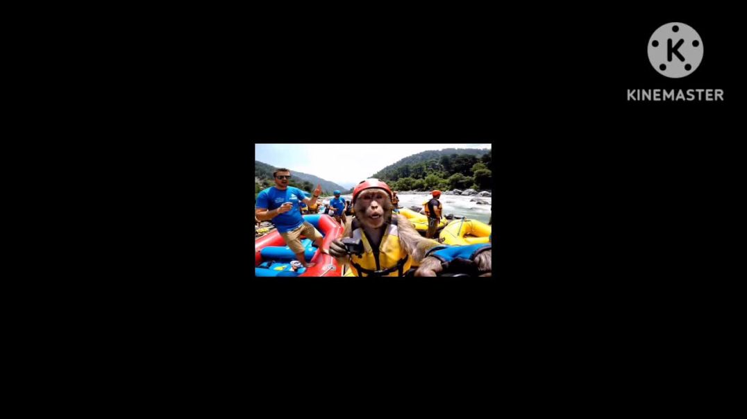 ⁣Viloging manki comady video