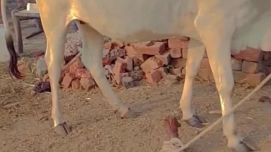 ⁣मां_की_ममता_से_बढ़कर_कोई_नहीं_आखिर_में_माता_में_होती_है(720p)