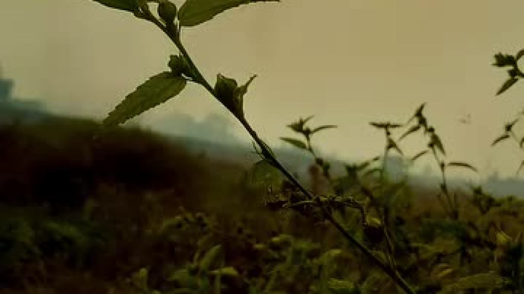 instagram_1765086408854