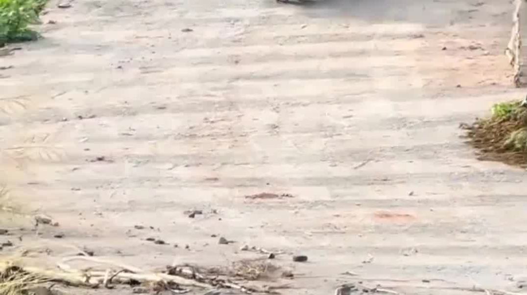 ⁣Majedar video 🤣🤣