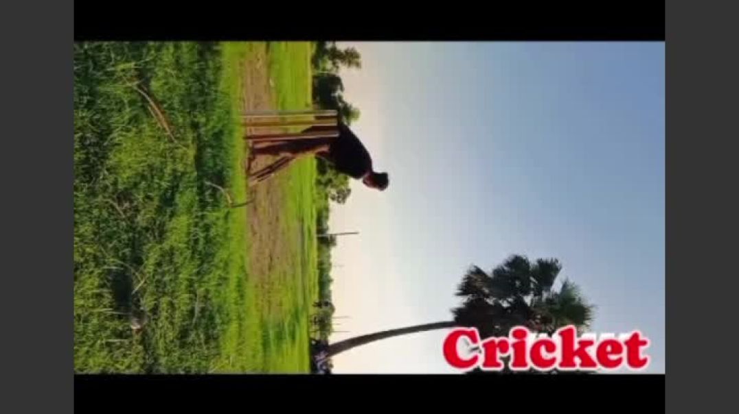 VID_20251011_185842_148