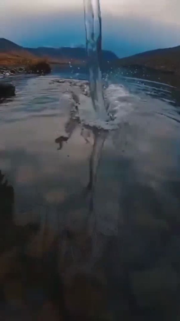 video_30_11_2025_21_31_21