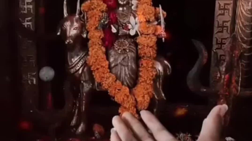 ⁣Meldi official video