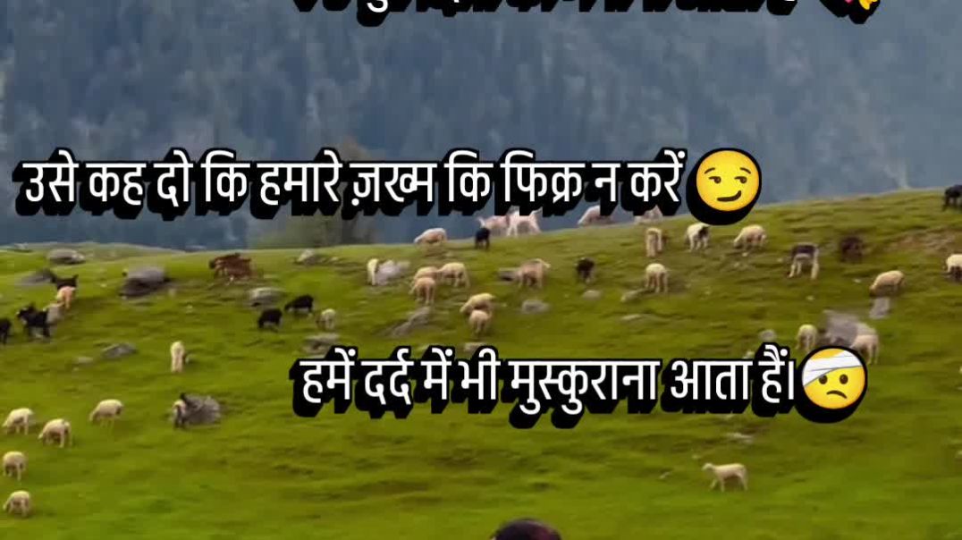 VID_20250927_093626_691