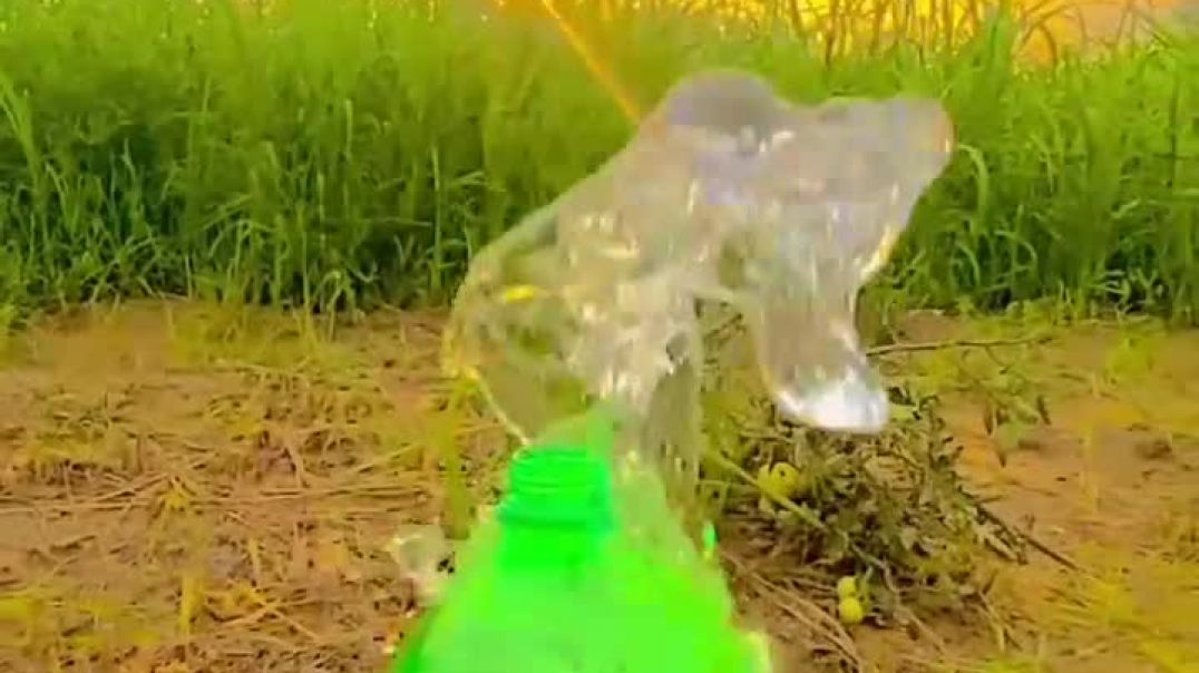 VID_48760222_132827_702