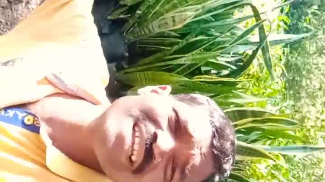 ⁣pyar dilon ka mela hai (dulhan hum le jayenge) salman khan, karishma kapoor, alka yagnik sonu nigam