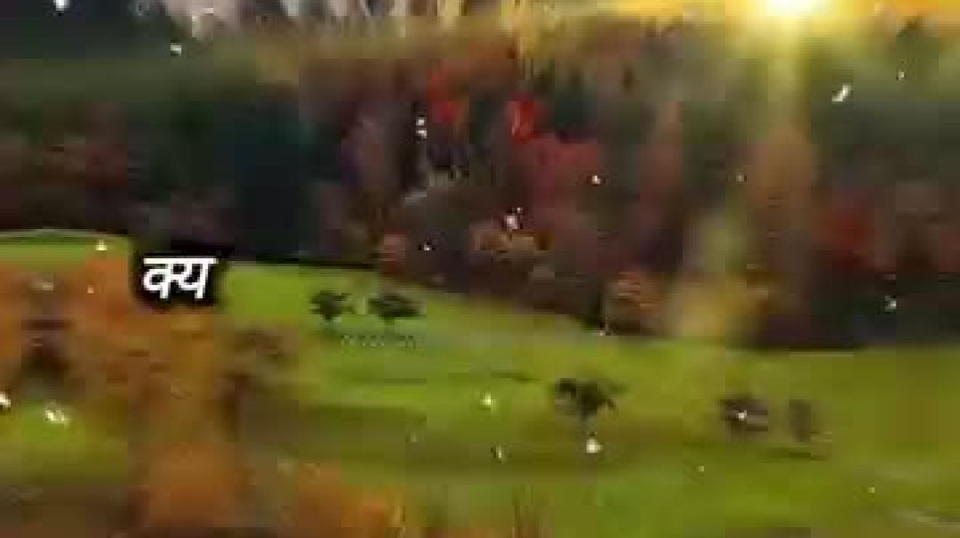 ⁣जिंदगी_में_एक_बात_जरूर_याद_रखना__#motivation_#shayri(360p)