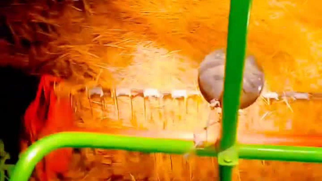 FB_VID_9219827819432133883