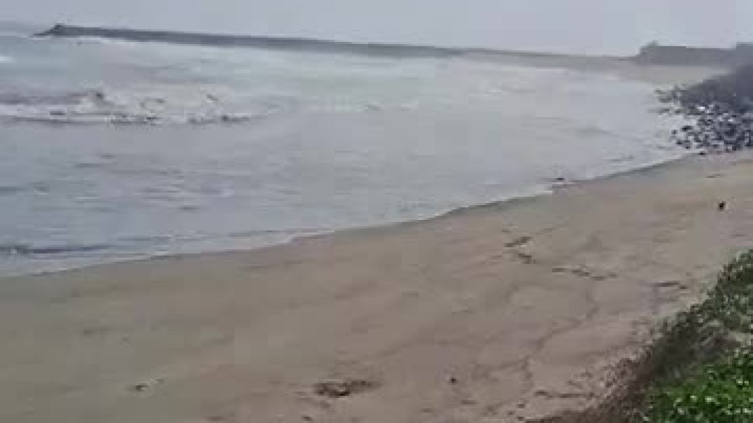 ⁣beautiful nature 🥰 lovely 🌹🌹