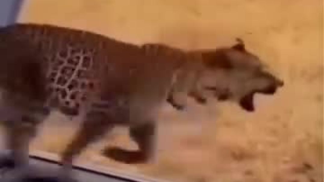 AQPph2izZ7GYVFEal5xB0hHq9Lfimi8_alt1JlK8isIFRcFDCrcioT--dDrfTAvIPRH_aAX7b1CZ6bMjQi5_8w7do--rwmizmqmh