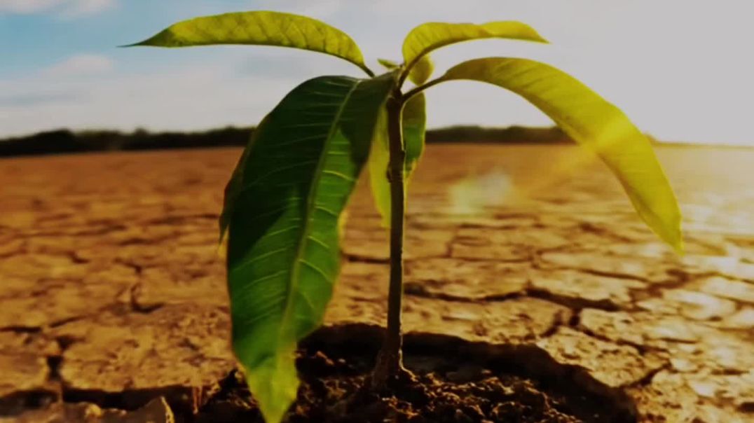 ⁣Daru ki maine Badi kahani