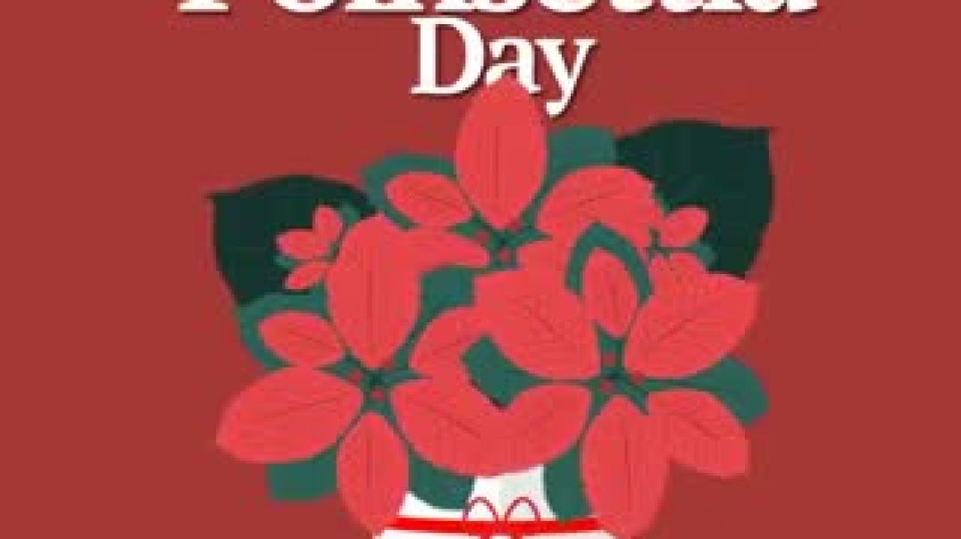 ⁣VID-20251213-WA0033