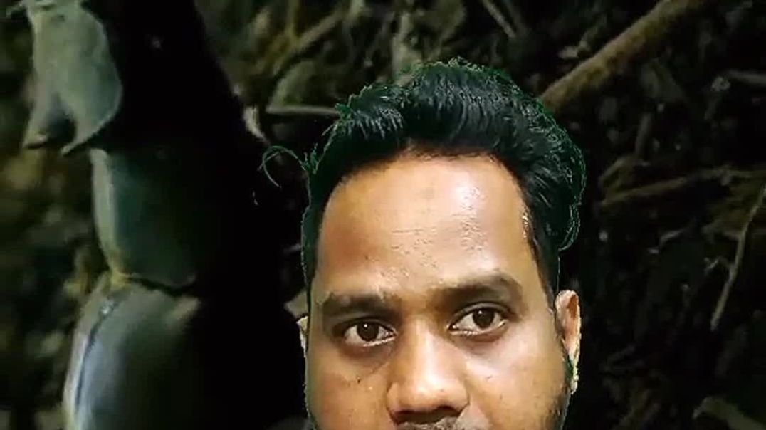 ⁣दुनिया का सबसे महंगा कीड़ा स्टैग बीटल (Stag Beetle) है, न