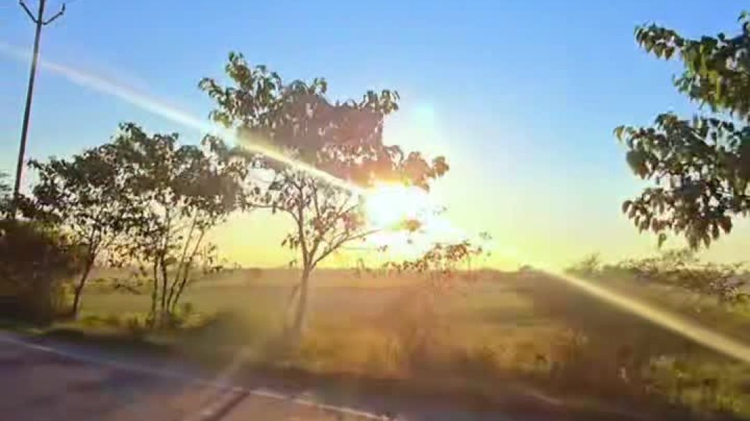 VID_20251119_183647_398