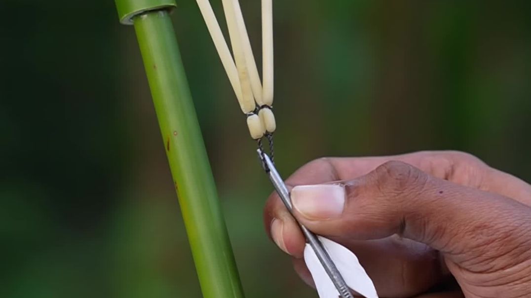 ⁣DIY_Bamboo_Creations_with_irone_nail_Toys_#Bamboo_#Diy#Slingshots_#Bambooart(1440p60)