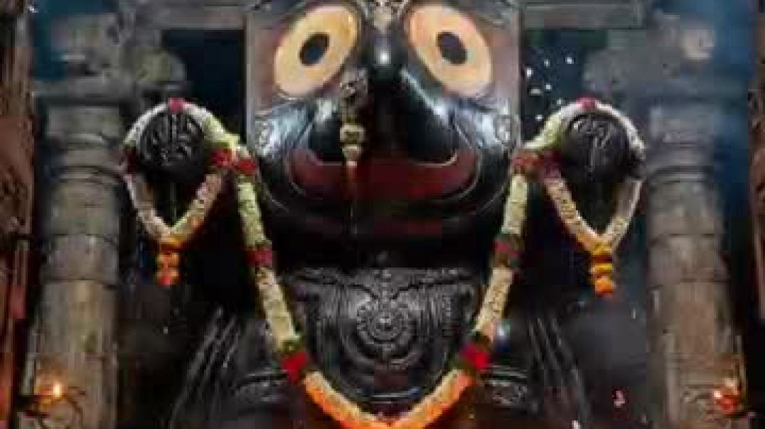 ⁣jagannath_bhajan_song(360p)