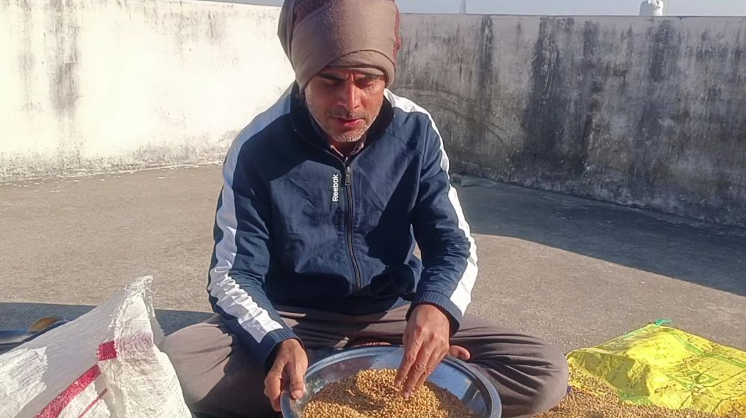 ⁣Sunday का Use