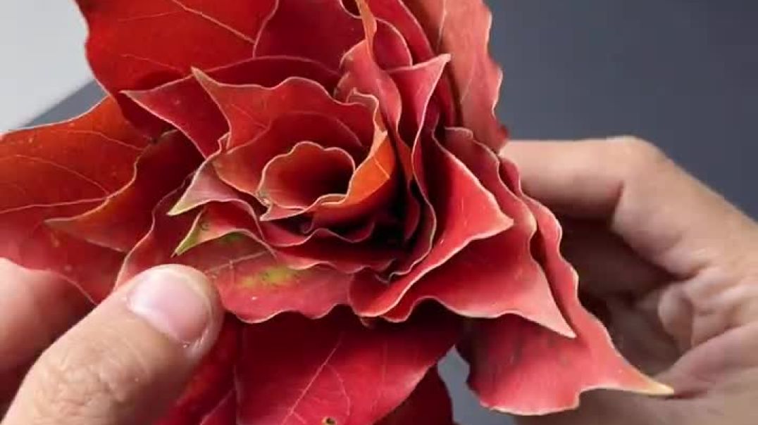 ⁣Transform Your Home with These🔧Cool Tools!#shorts #gadgets689