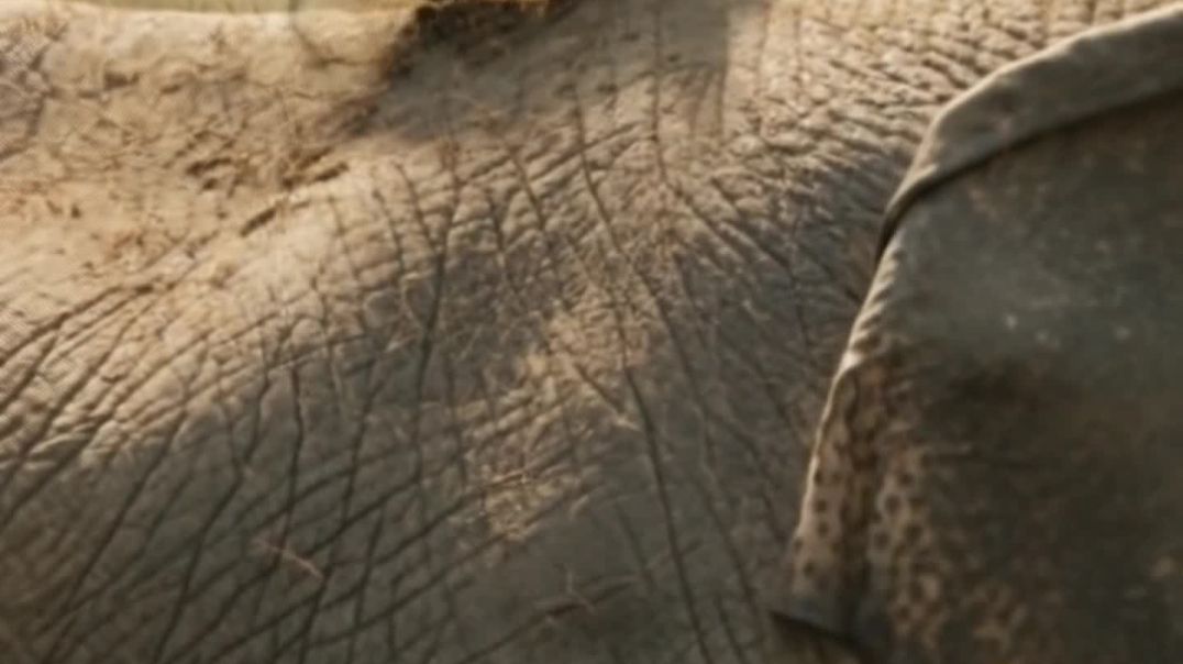 ⁣Hanthi or chuha ki kahani ai cartoon video