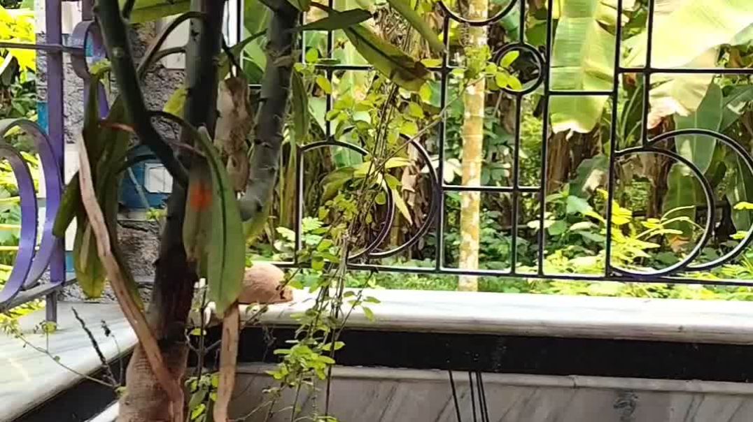 ⁣My daily routine,my daily work.