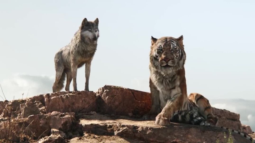 ⁣Adventure movie in jungle