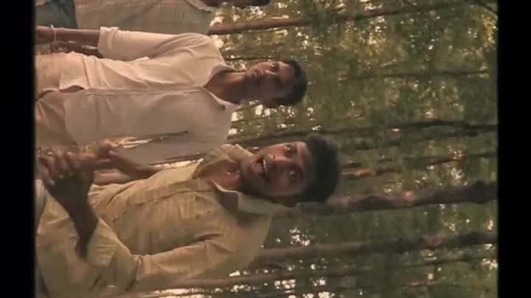 ⁣South action /Film 📽️