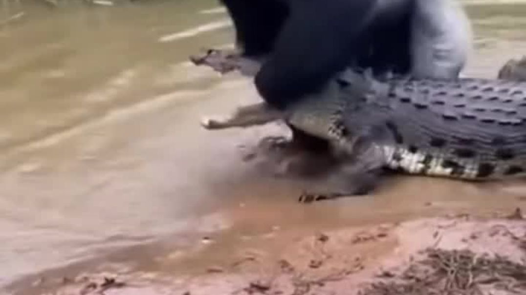 AQPptek93wnCxXLRncP4vf6ICQaNCNAHRBeyyvgU1Z7GiOSStFcEERJGW_LWoVCpHWxyhKDdIedp4gj79x8lMt-1shDUaKOkfgud