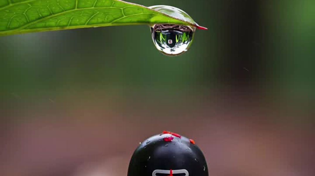 ⁣VID-20251210-WA0009