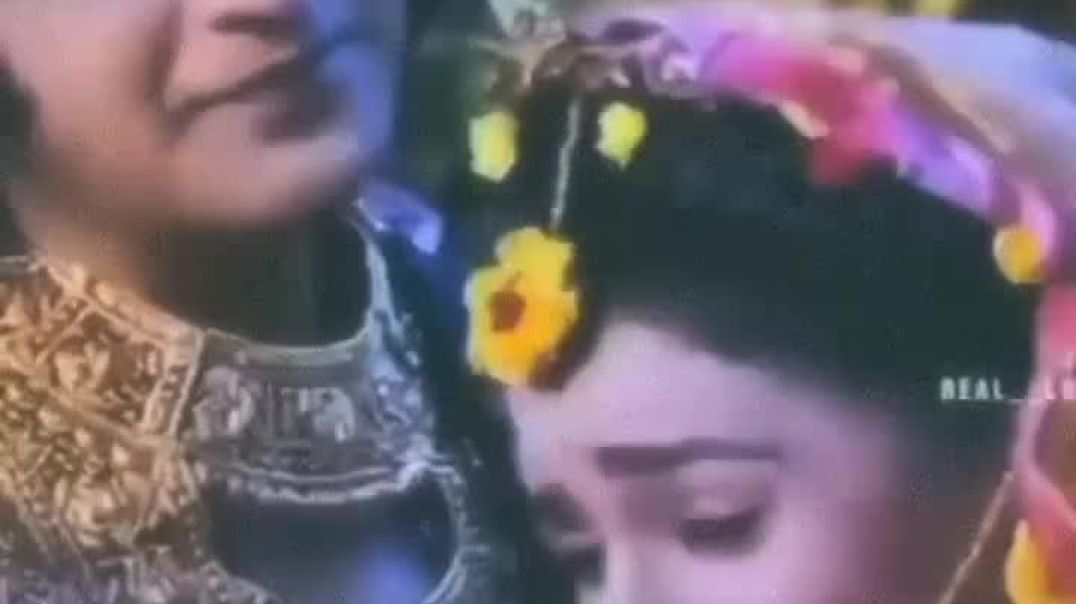 instagram_1766222417821