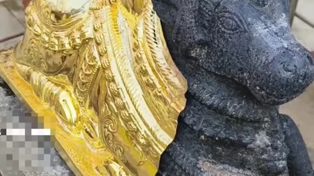 Facebook_1765169811448_mp4_1080p