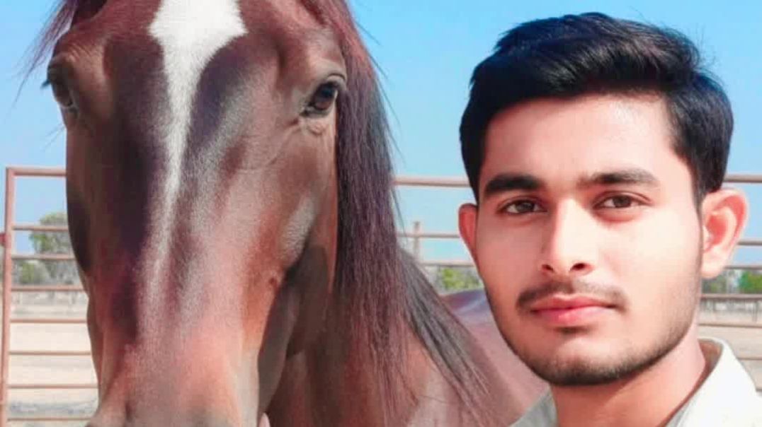 VID_20251129_091143_193