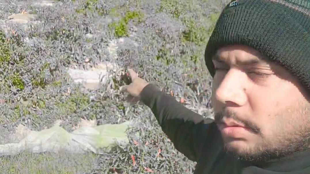 VID_20251222_000805_521