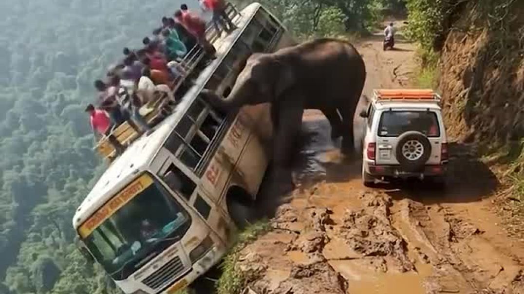 ⁣TERRIFYING__Wild_Elephant_ATTACKS_Tourist_Bus_on_Deadly_Cliff_Edge___AI-Generated
