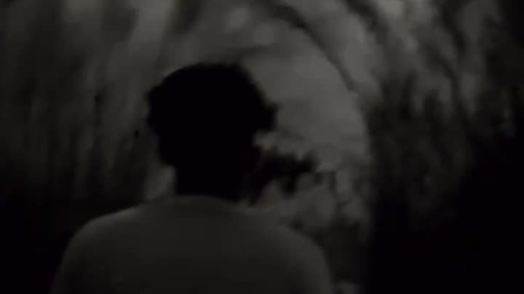 ☠️ me first majority 💀