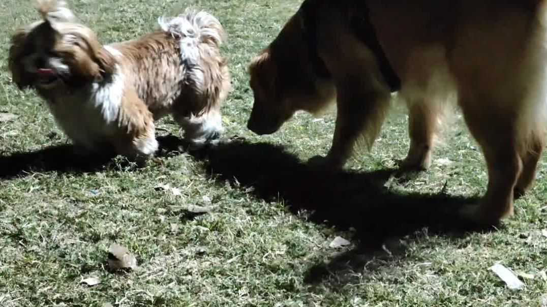 ગાર્ડન મસ્તી