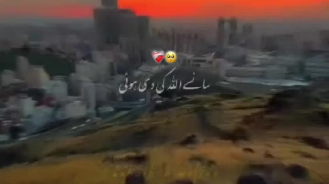 VID_20251204_190659_657