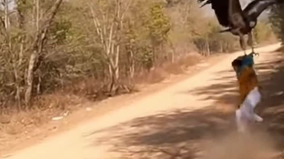 ⁣Shots #video ##reel #viral #trending