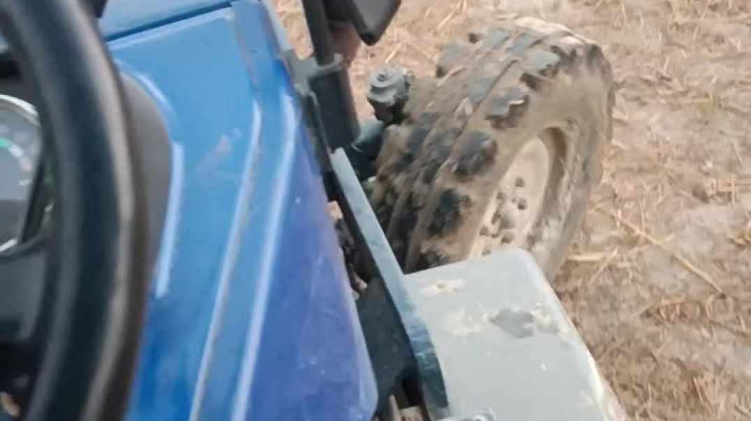 video_20251017_061352